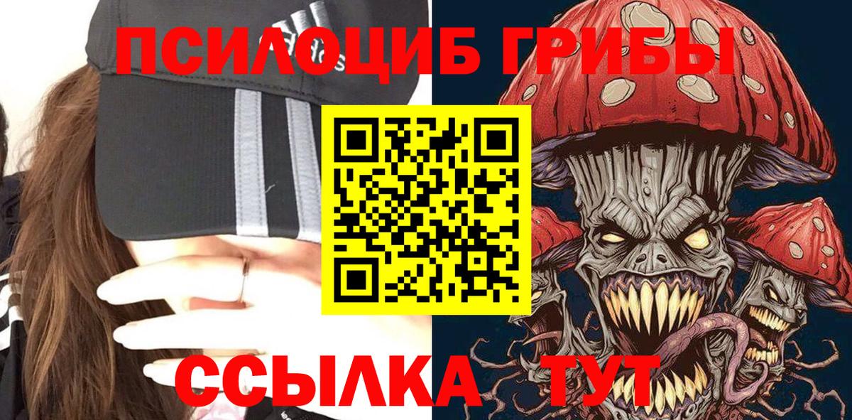 Воткинск  Псилоцибиновые грибы мицелий  где продают   Вход с VPN 